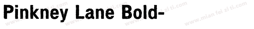 Pinkney Lane Bold字体转换